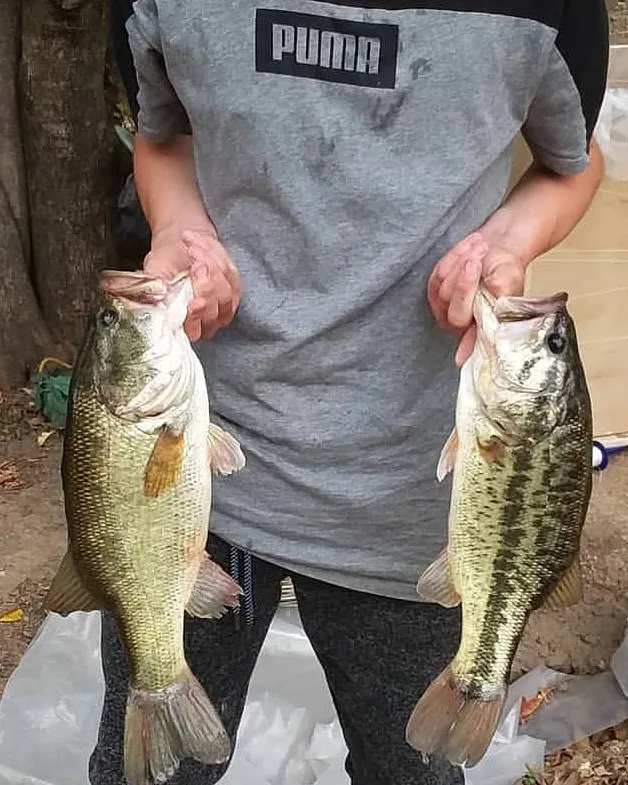 Post image from stevenhetherington