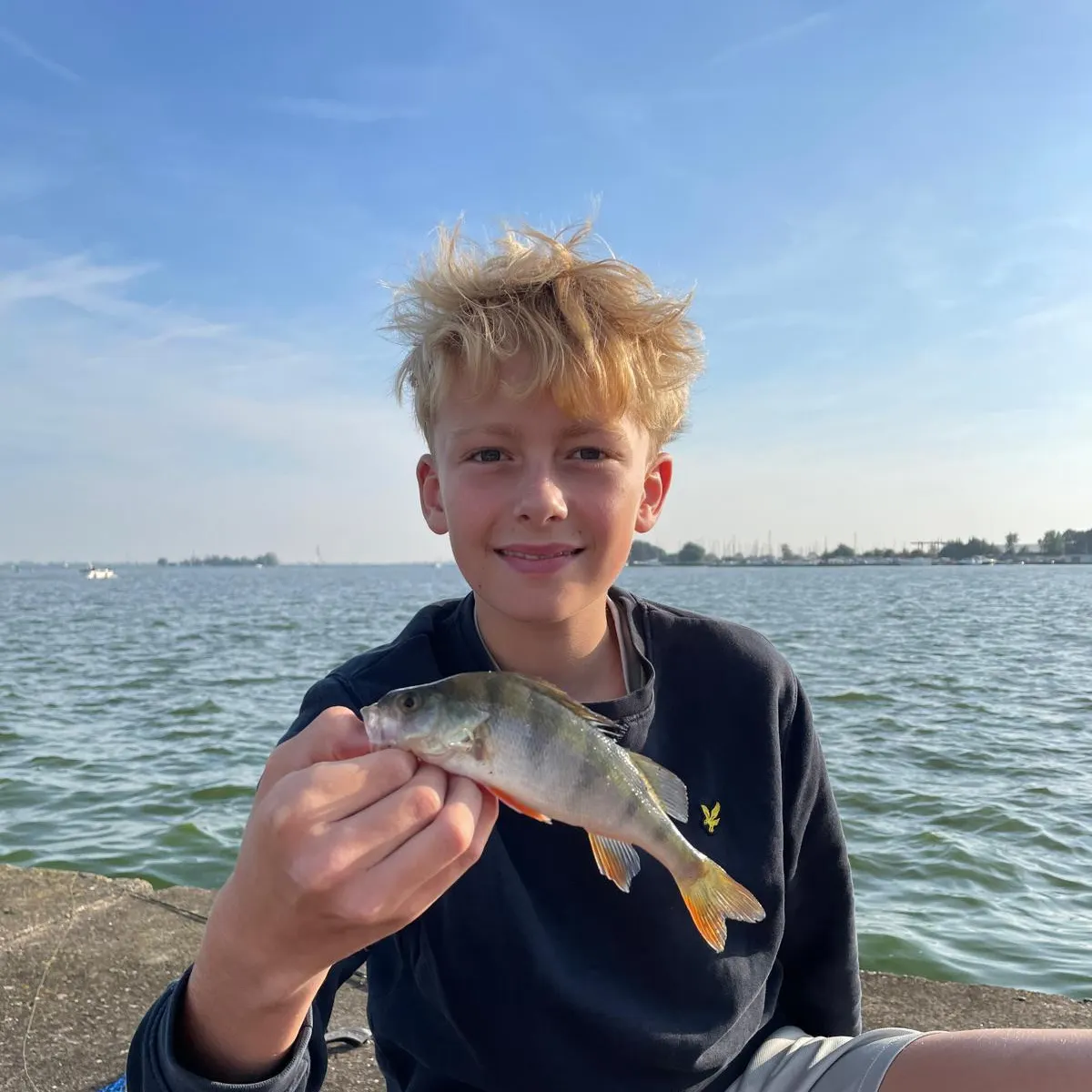 European perch caught on Fishbrain