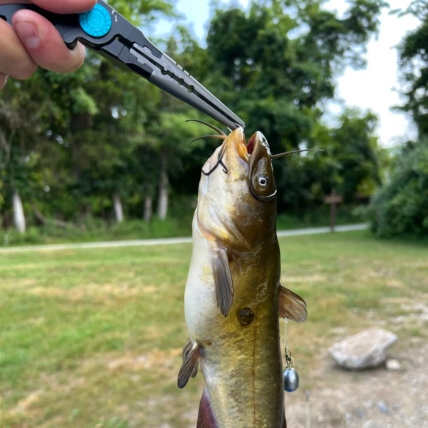catch