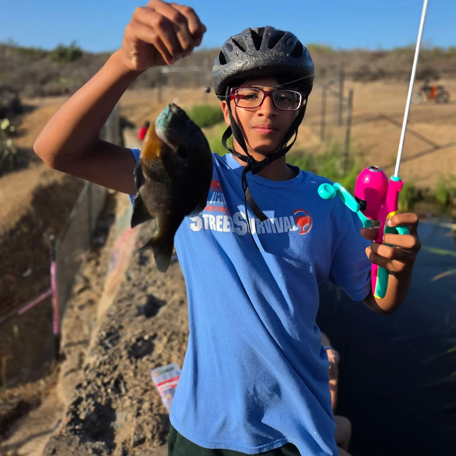 Bluegill caught on Fishbrain