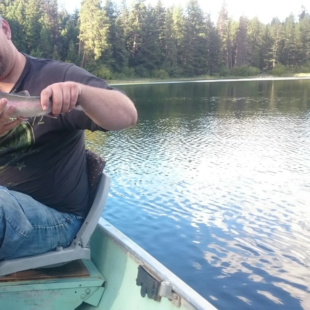 Rainbow trout caught on Fishbrain
