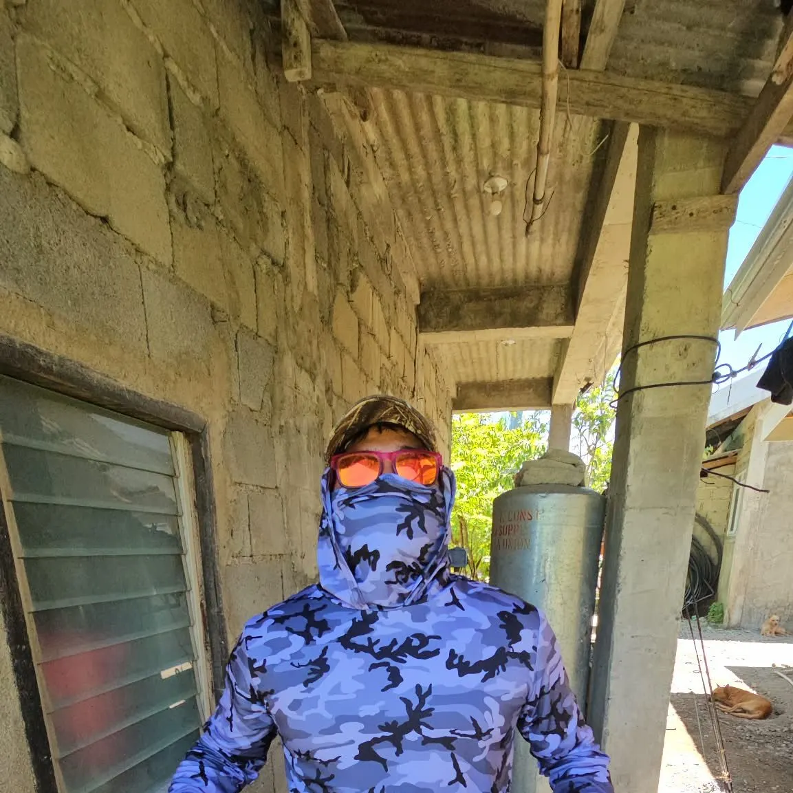 Tripletail wrasse caught on Fishbrain