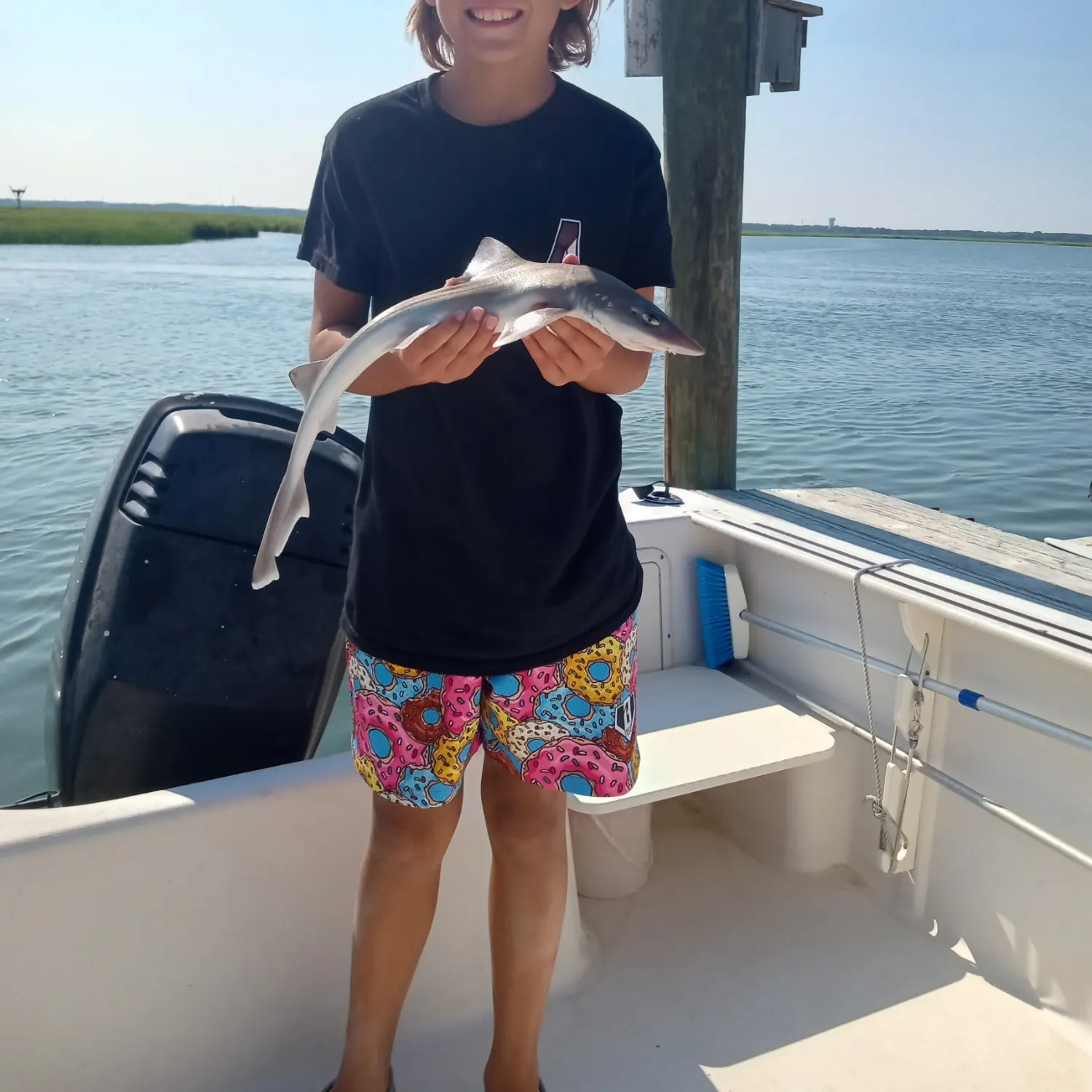 Dusky smooth-hound caught on Fishbrain