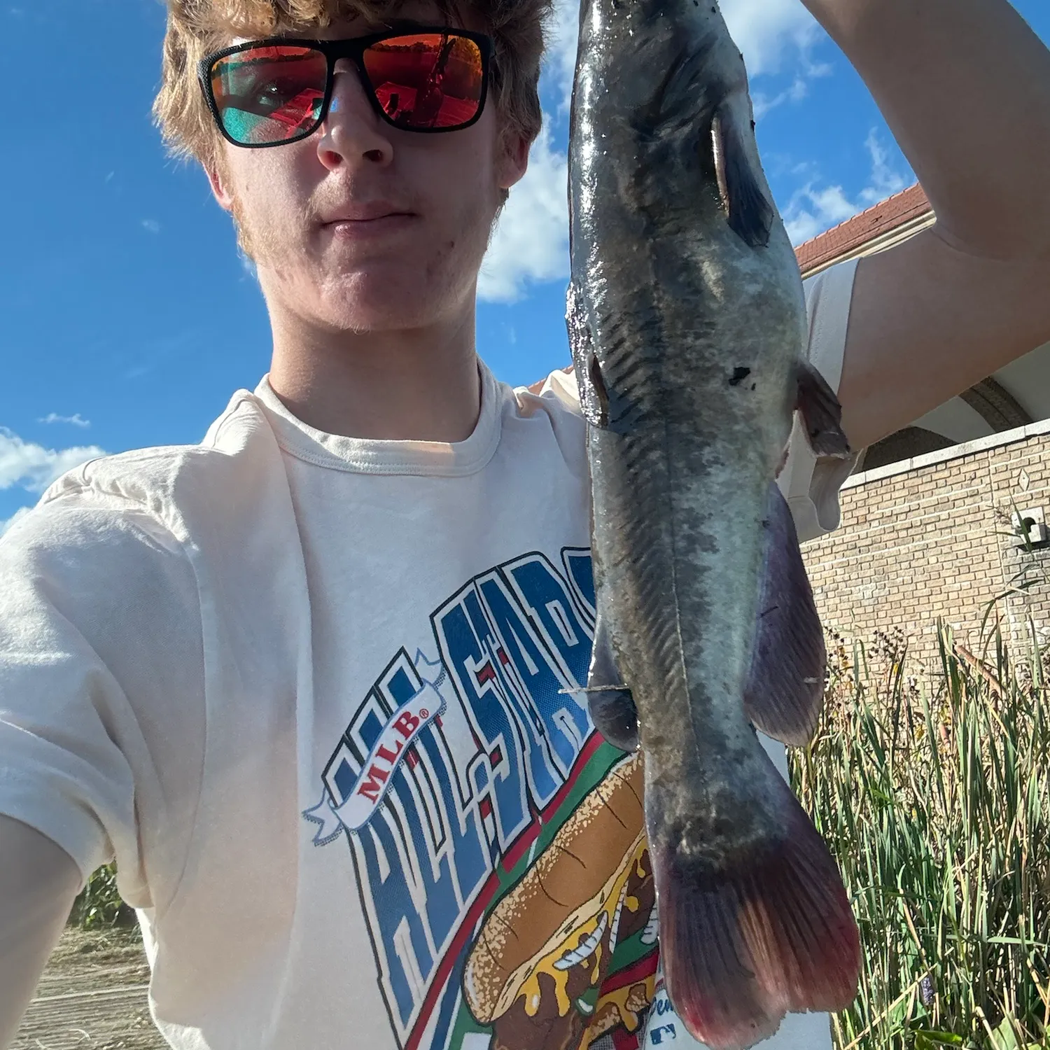 White bullhead caught on Fishbrain