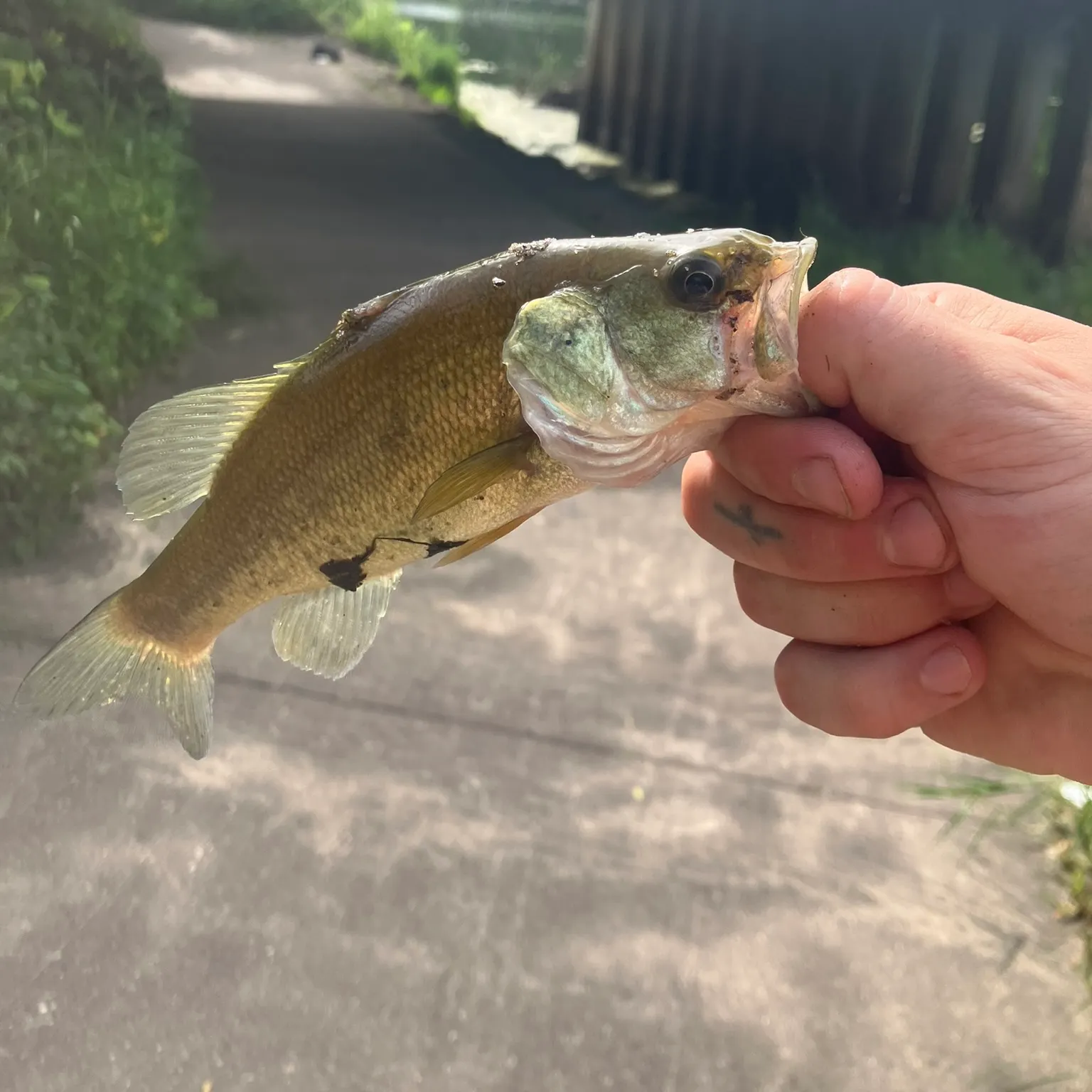 catch