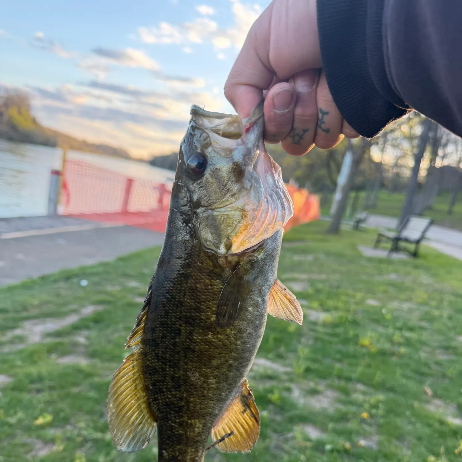 catch