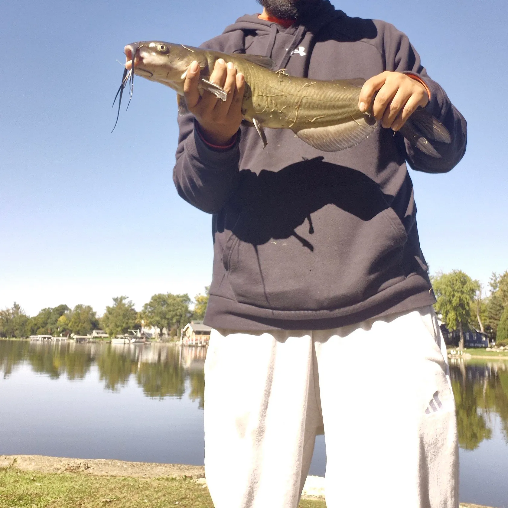 Channel catfish caught on Fishbrain