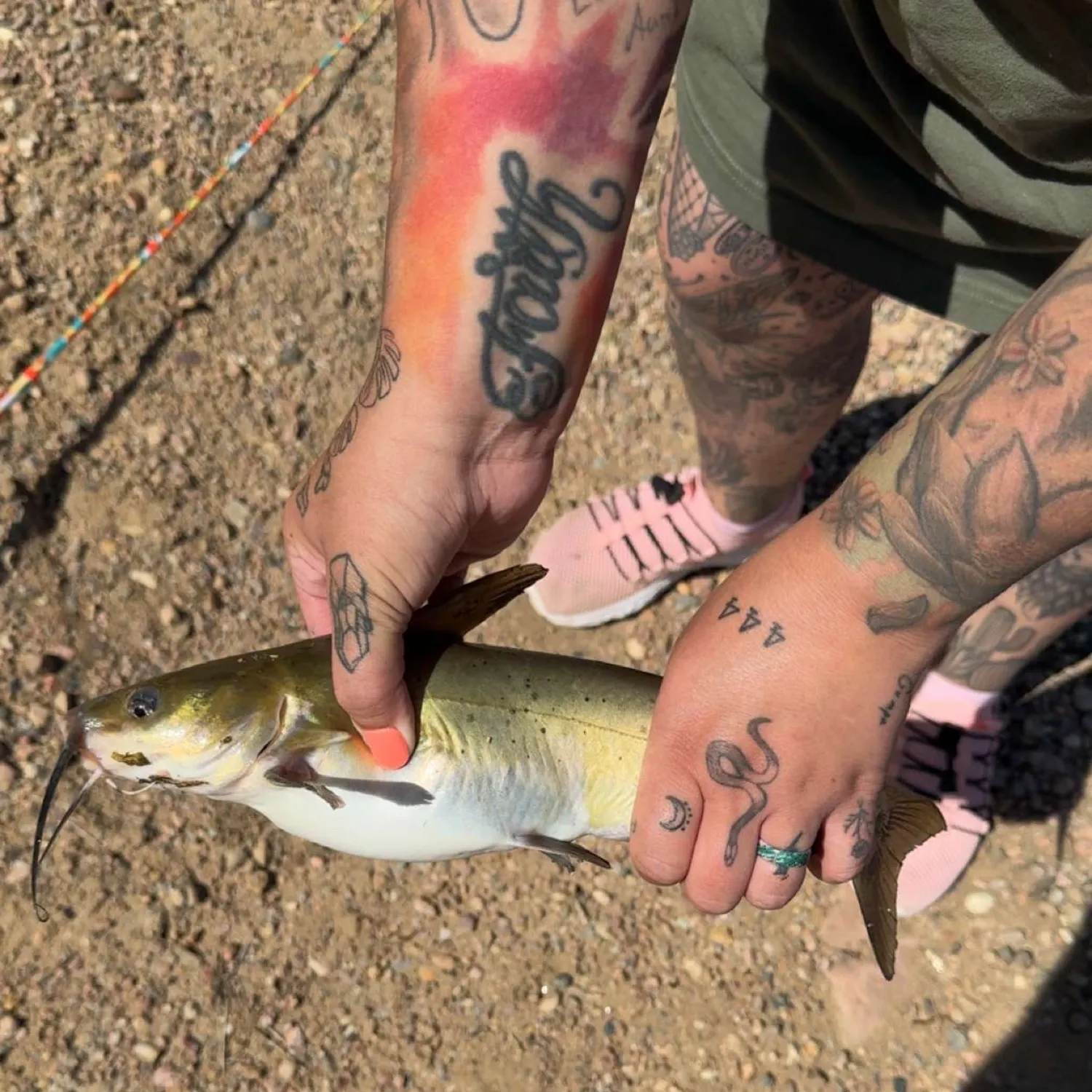 catch