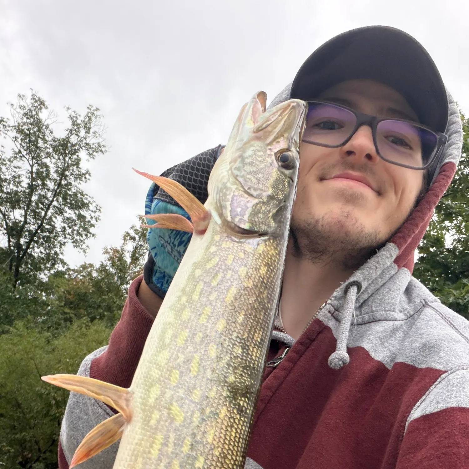 Northern pike caught on Fishbrain