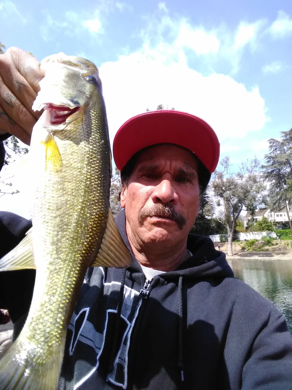 Post image from blizane.LM