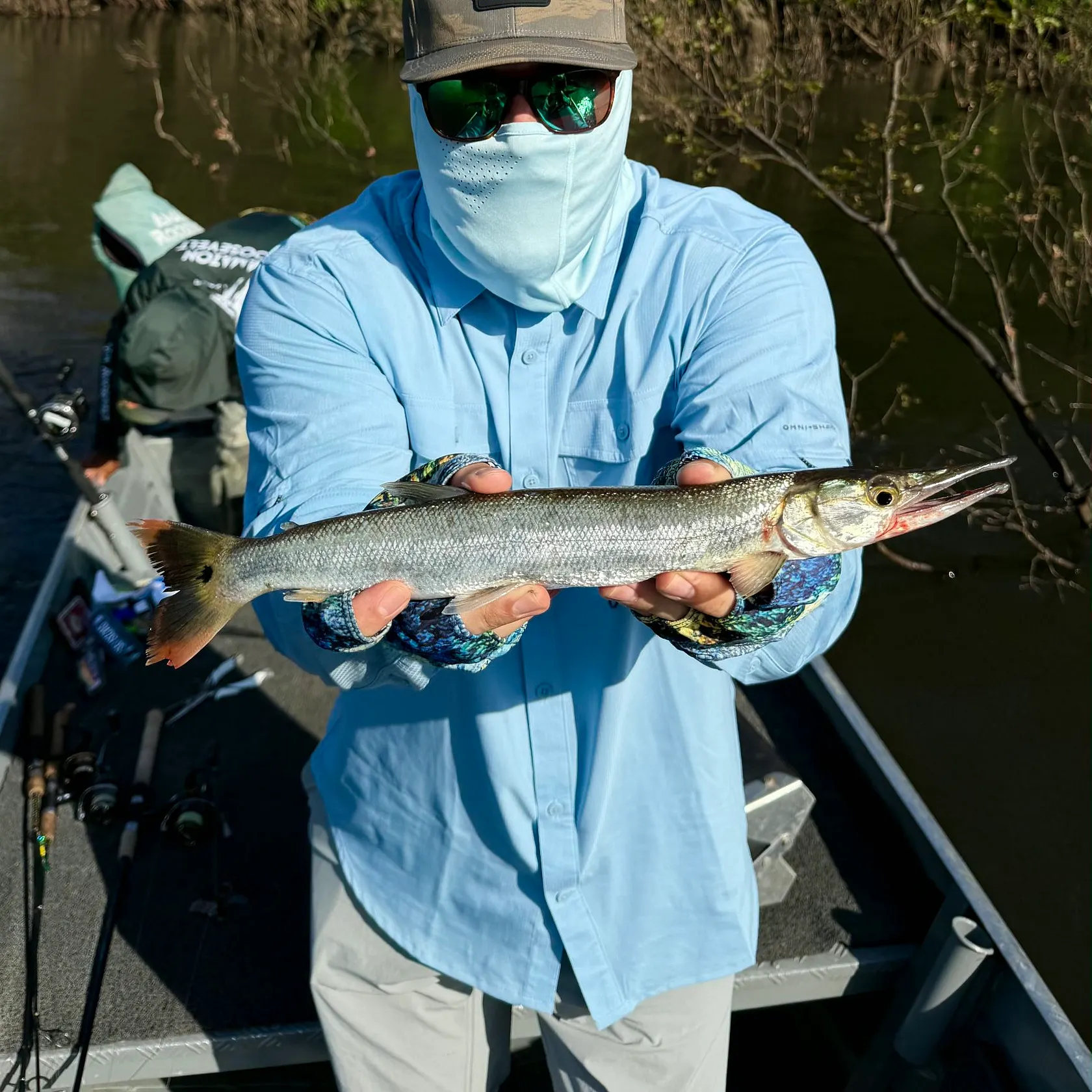 The most recent Bicuda catches on Fishbrain