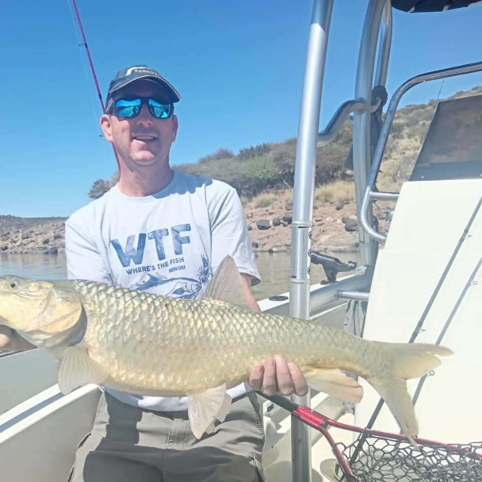The most recent Largemouth yellowfish catches on Fishbrain