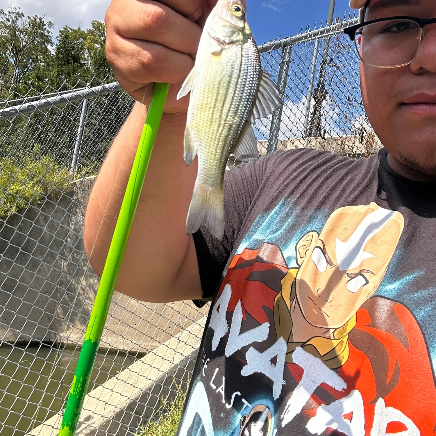 Yellow bass caught on Fishbrain