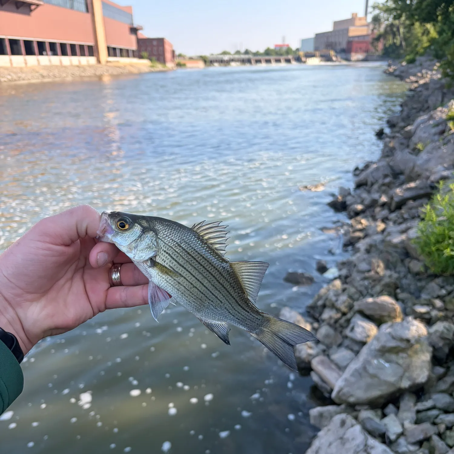 catch