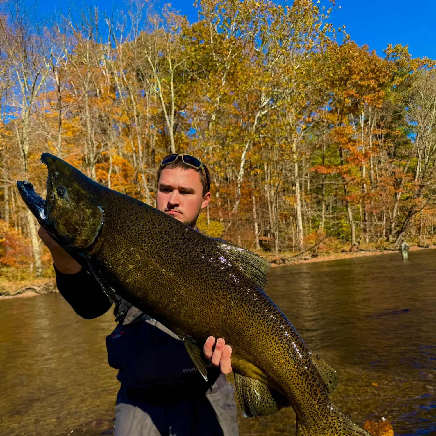 Chinook salmon caught on Fishbrain