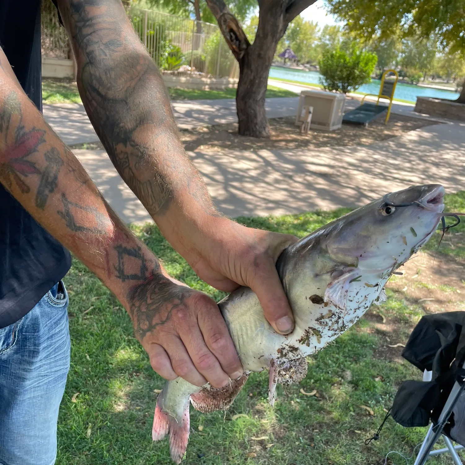 catch