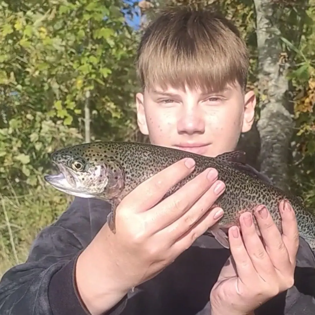 Rainbow trout caught on Fishbrain