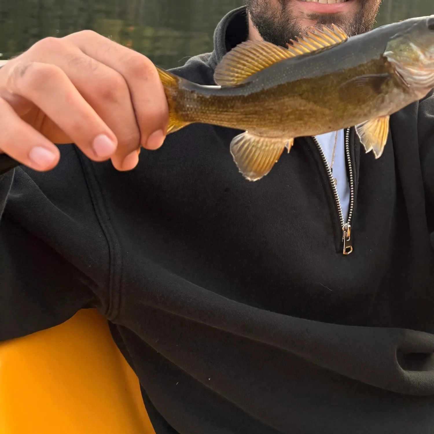 Smallmouth bass caught on Fishbrain