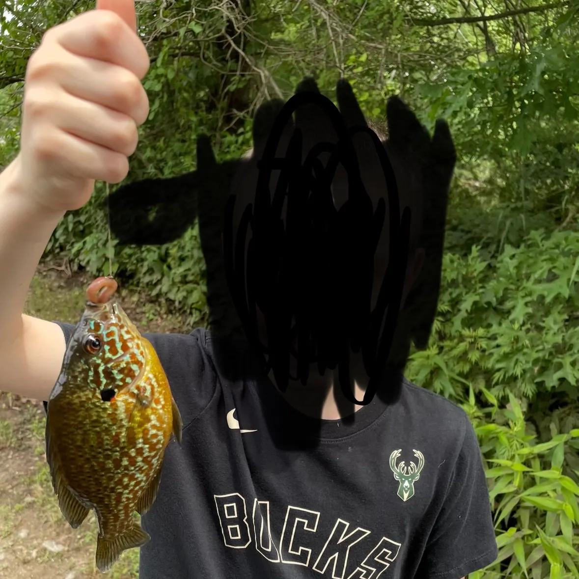 Pumpkinseed caught on Fishbrain