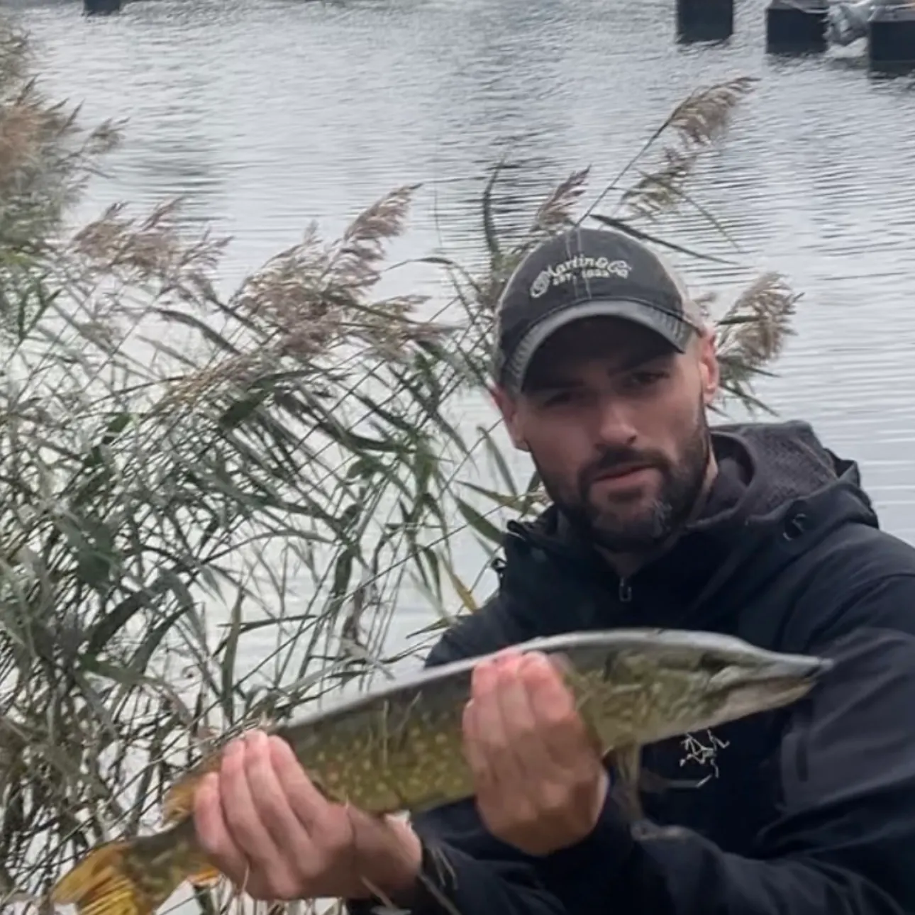 Northern pike caught on Fishbrain