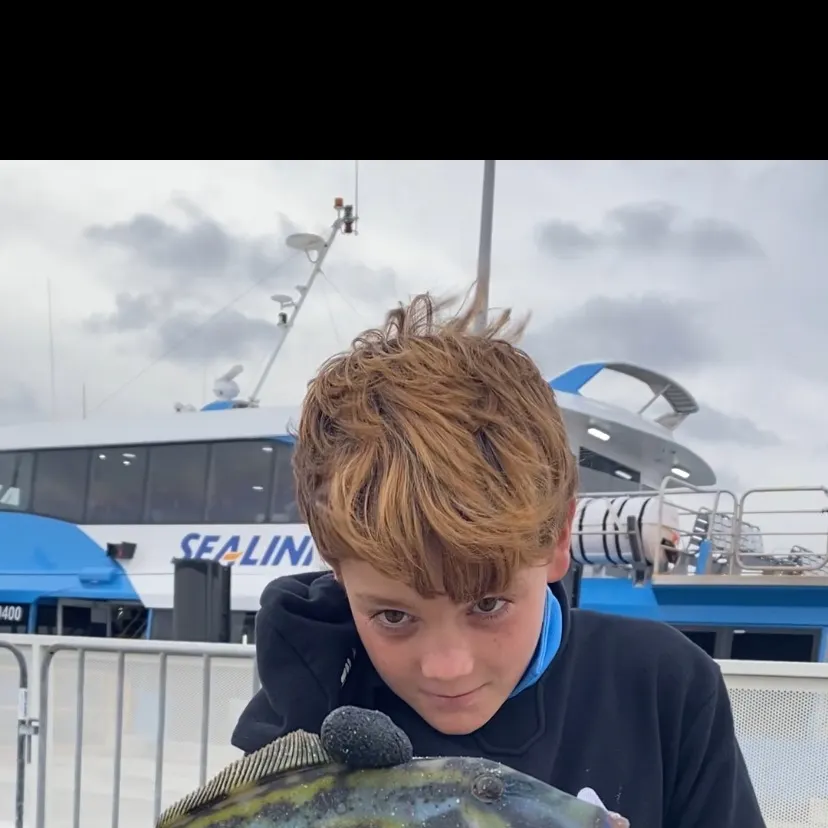 The most recent Yellowfin leatherjacket catches on Fishbrain