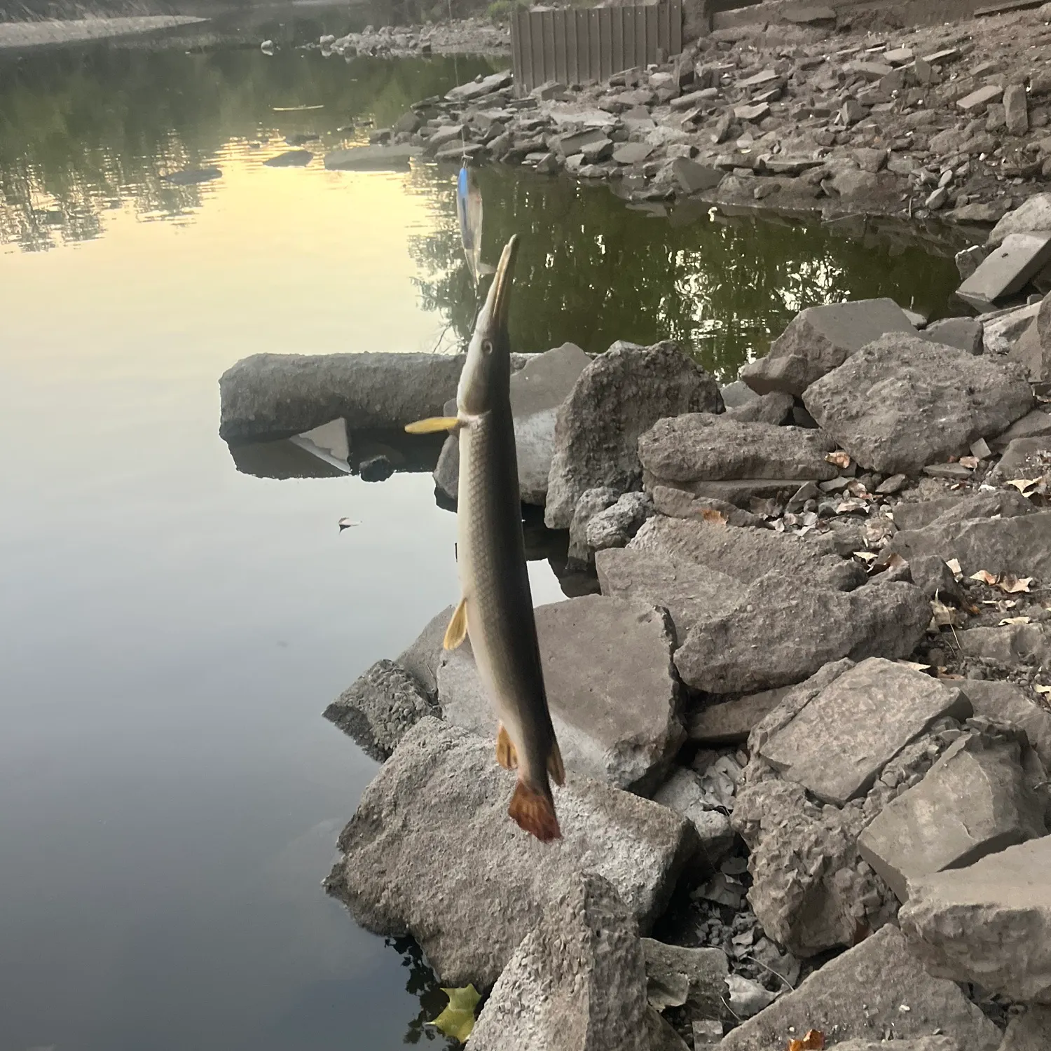 catch