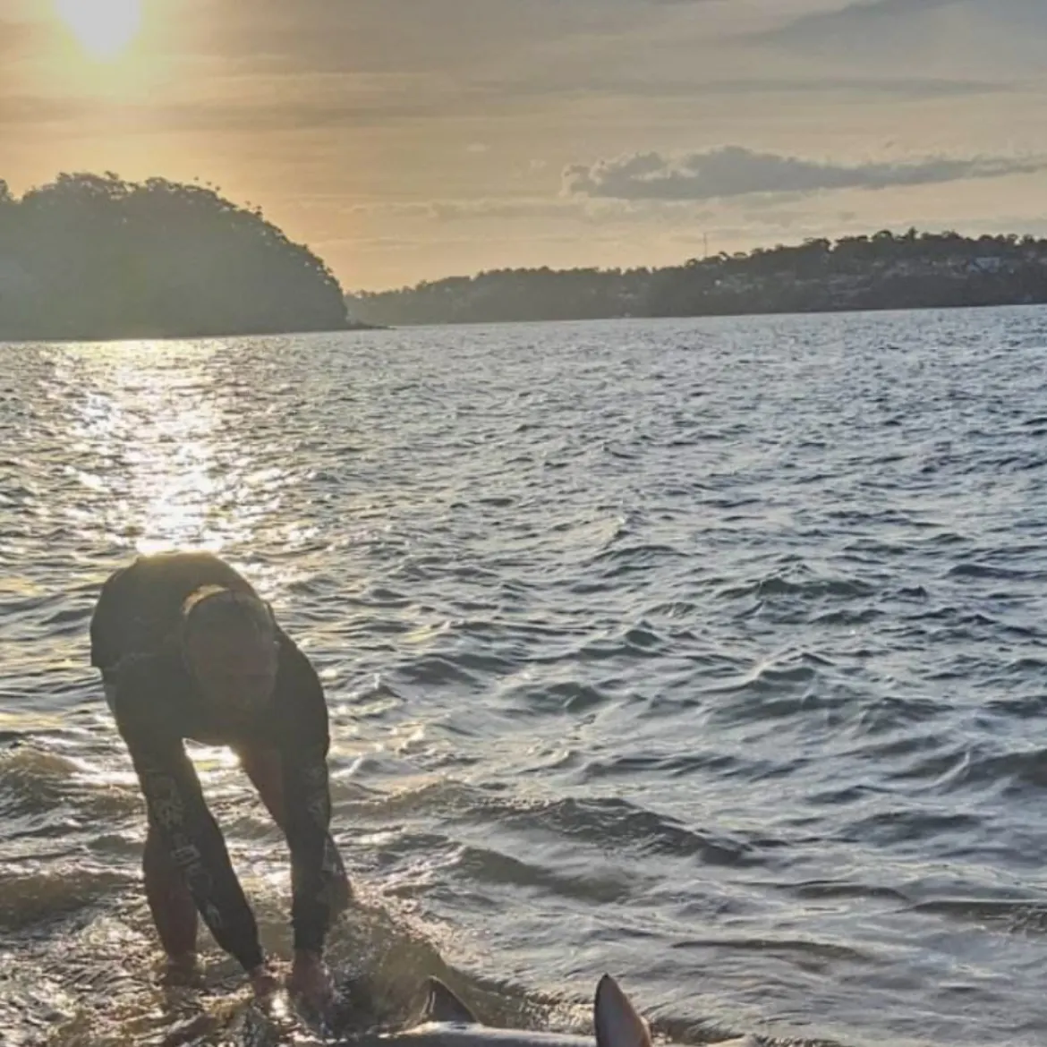 The most recent Dusky shark catches on Fishbrain