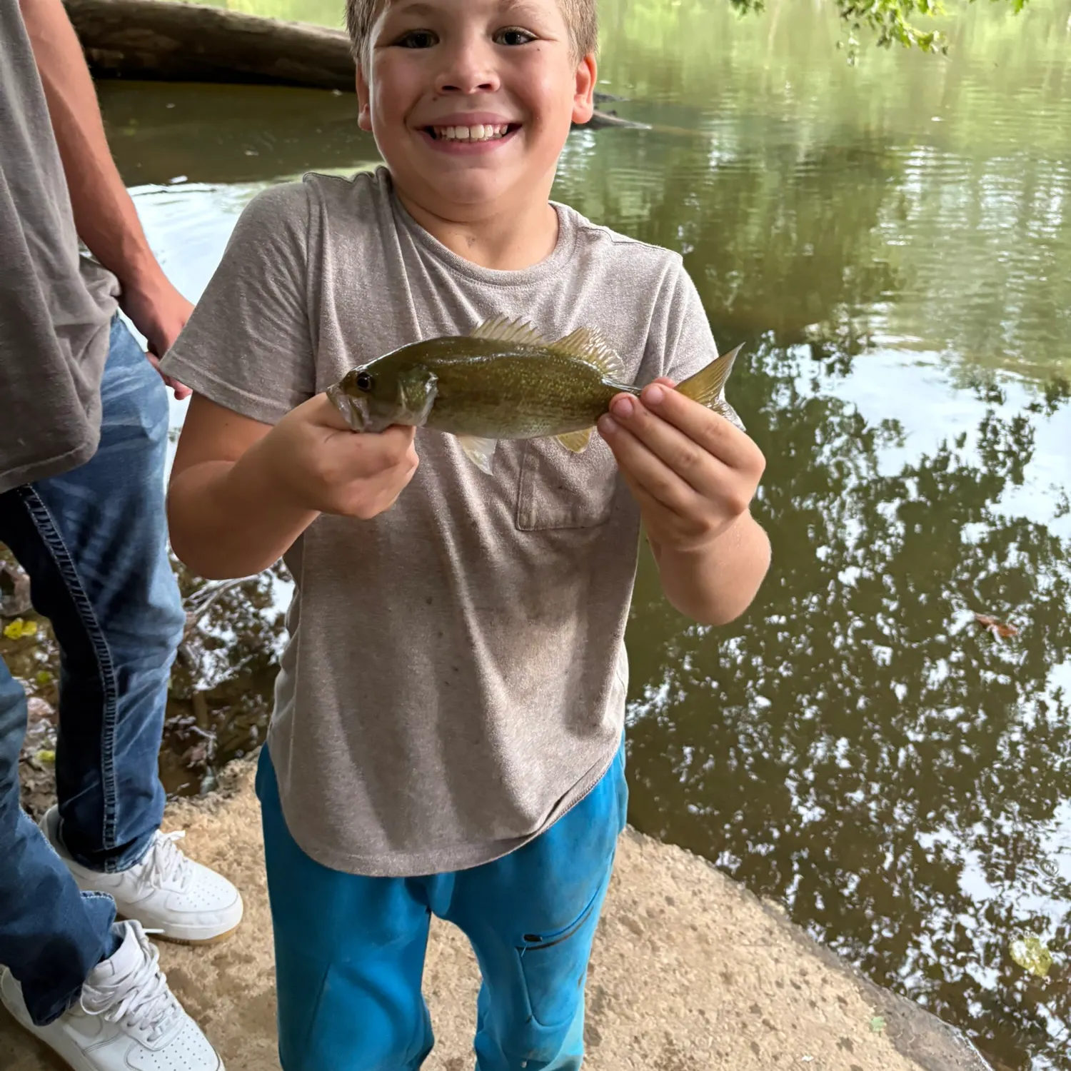 Fish caught on Fishbrain