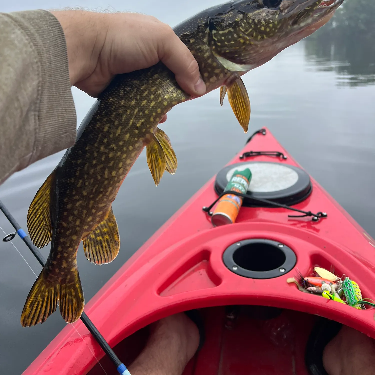 Northern pike caught on Fishbrain