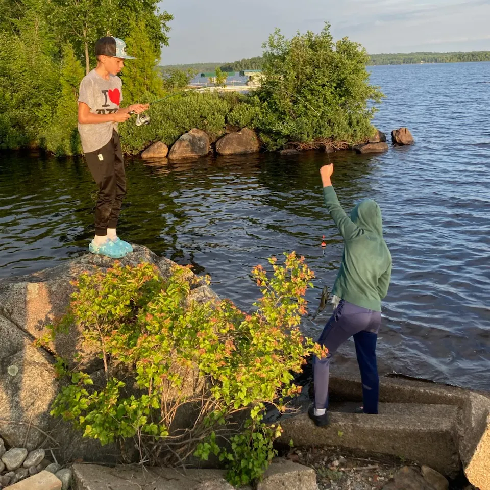 catch