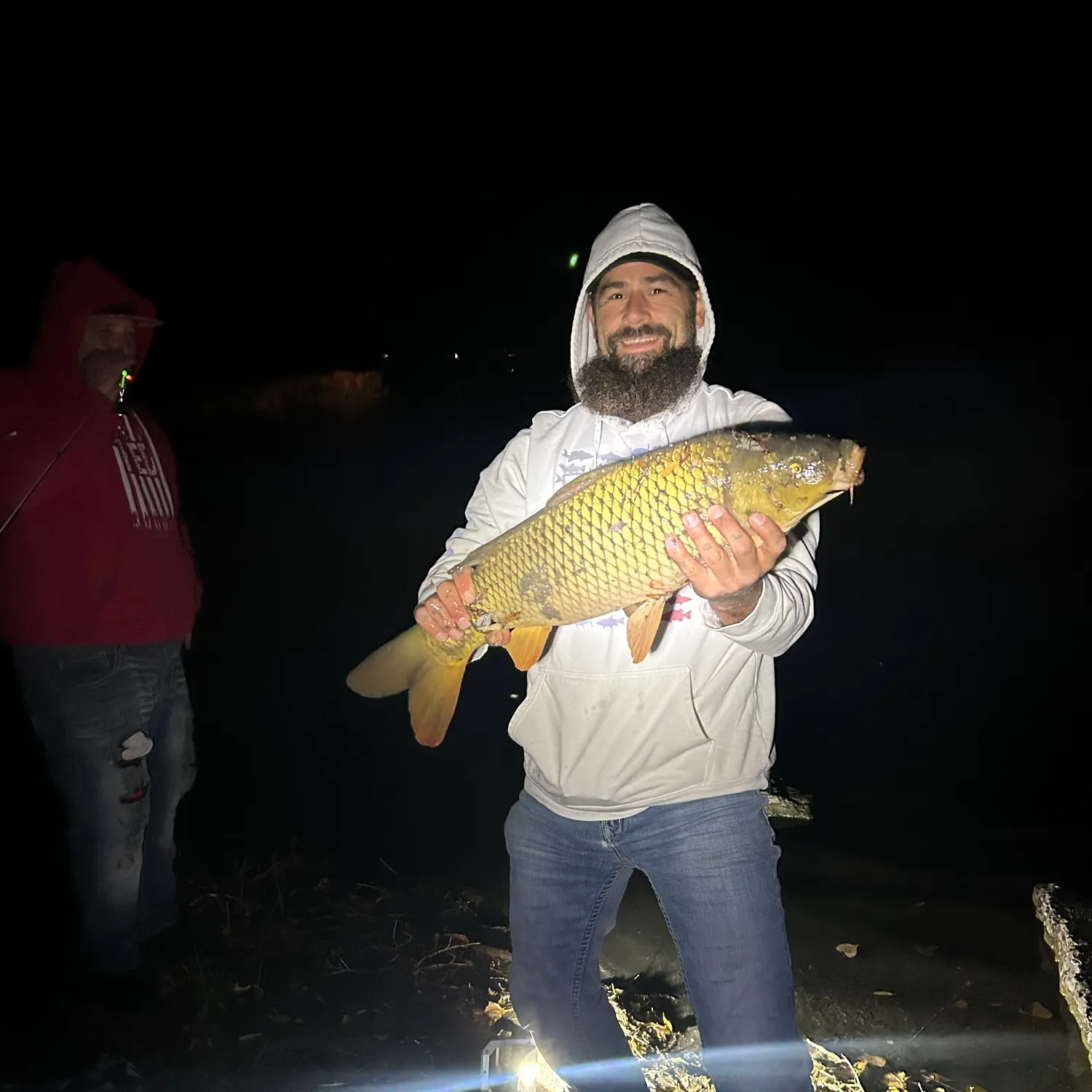 Common carp caught on Fishbrain