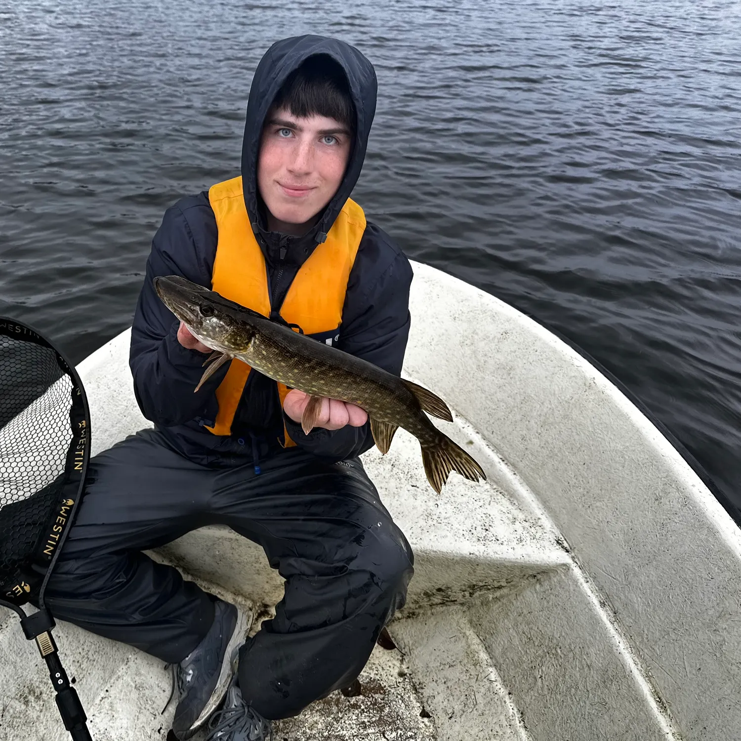 Northern pike caught on Fishbrain