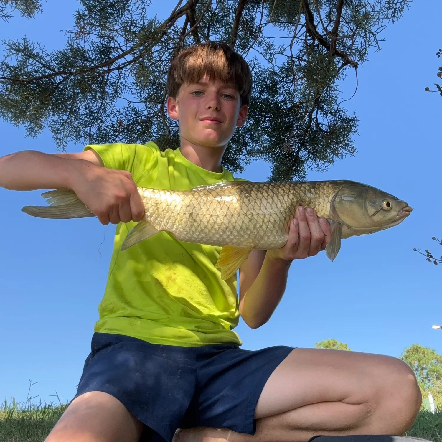 Grass carp caught on Fishbrain
