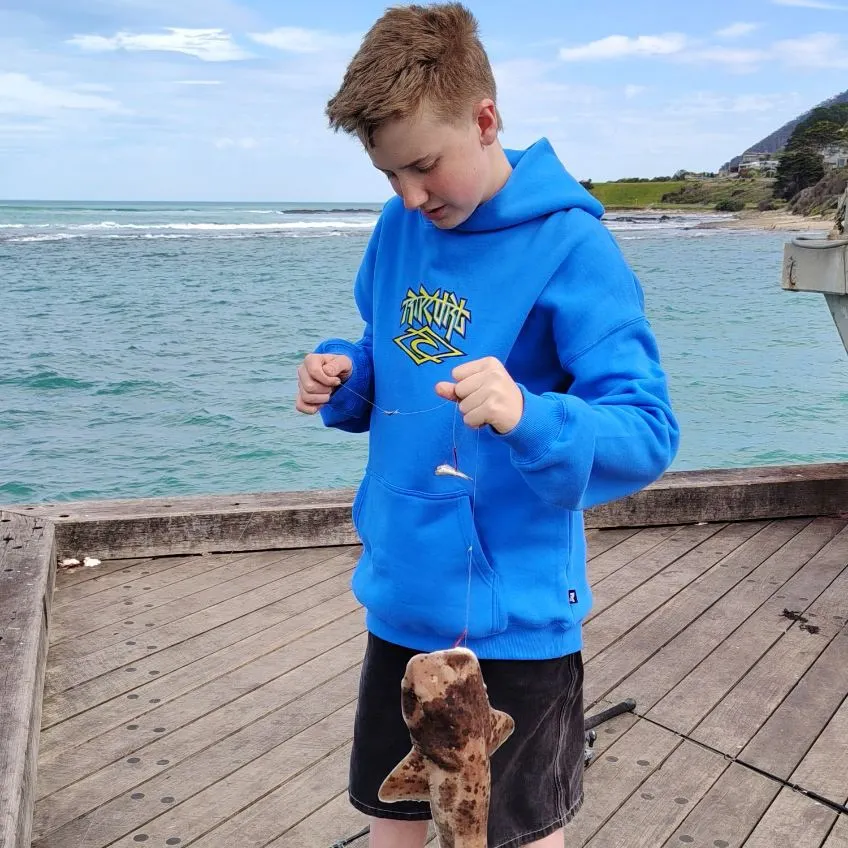 Swellshark caught on Fishbrain