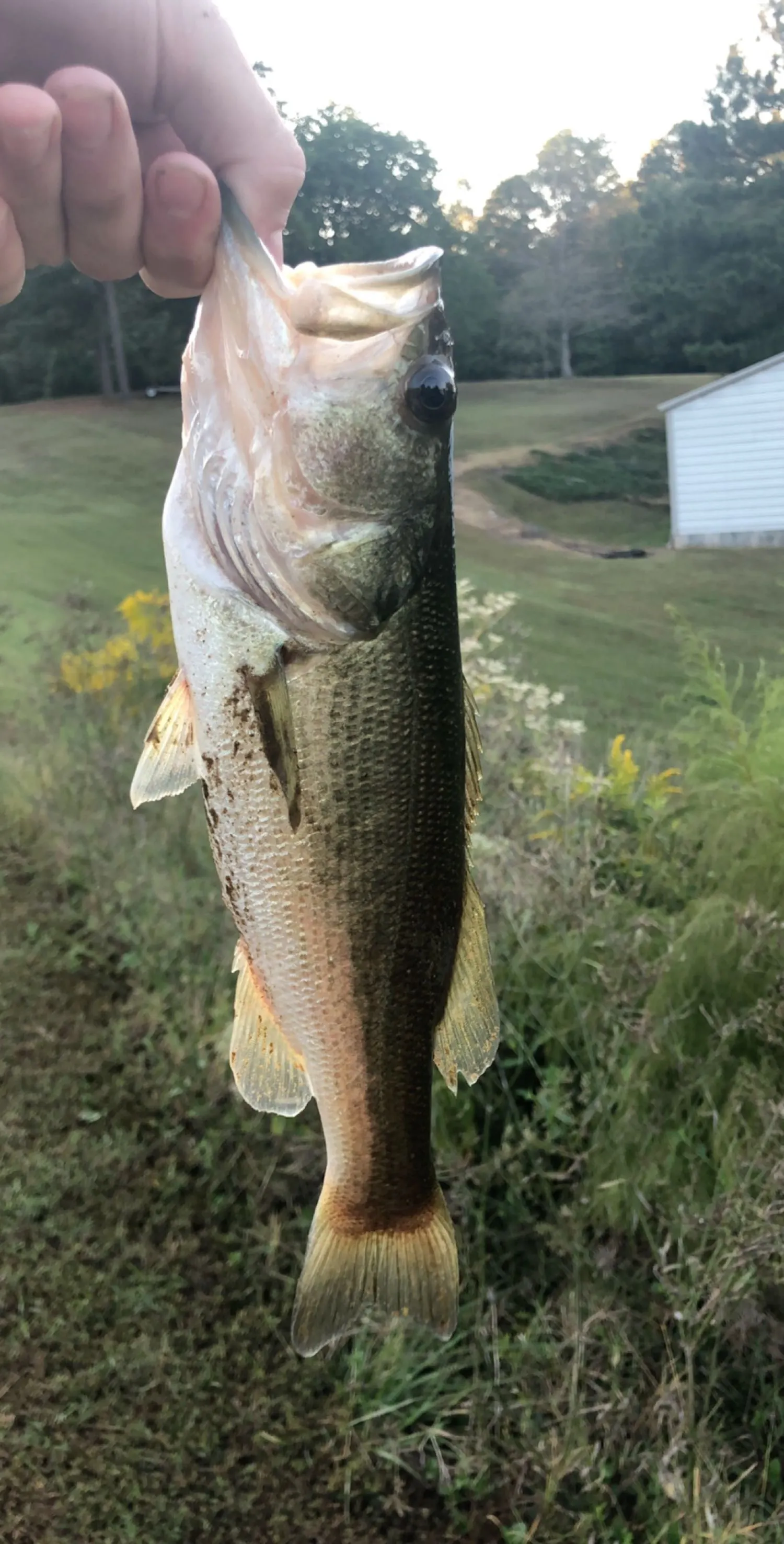 Post image from jacksawyer