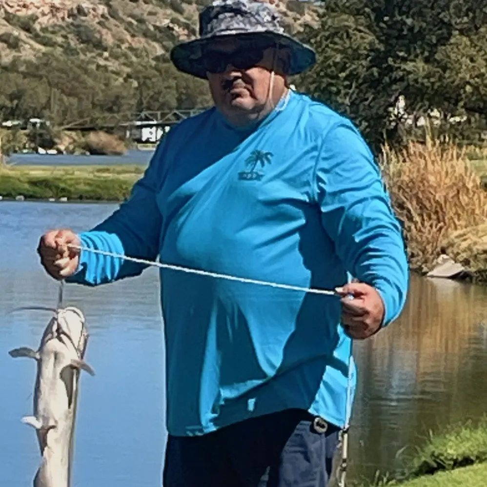 Channel catfish caught on Fishbrain