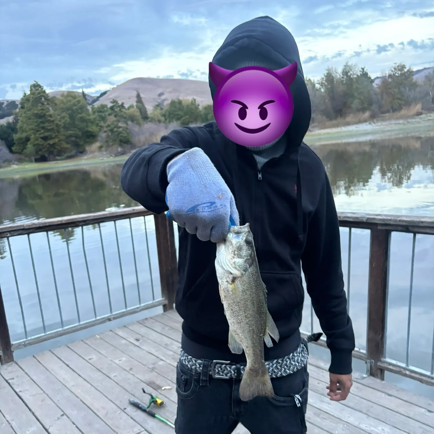 Largemouth bass caught on Fishbrain