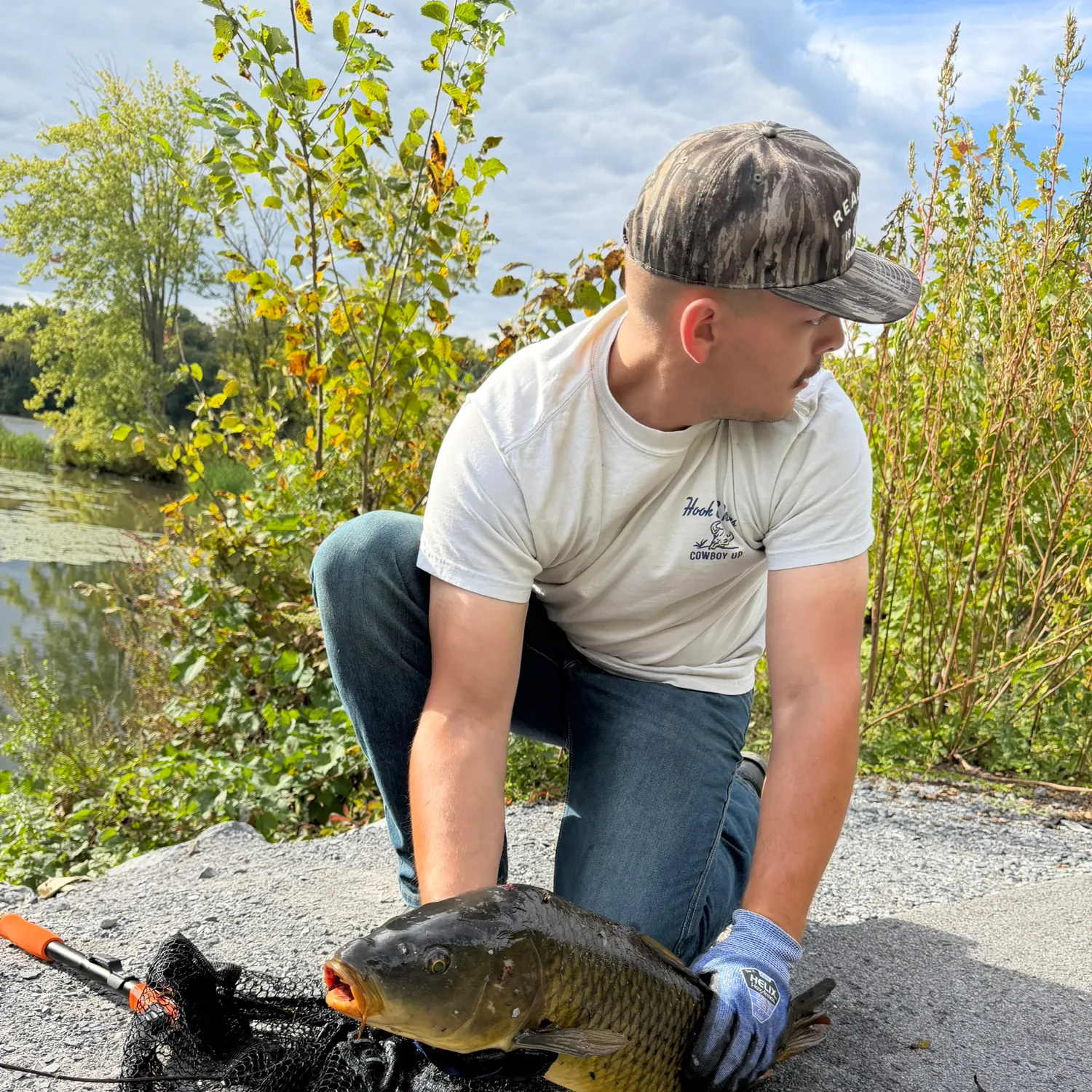 Common carp caught on Fishbrain