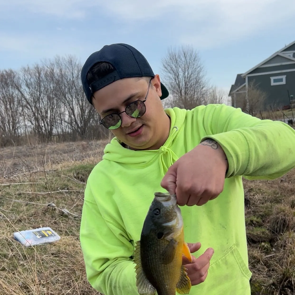 The most recent Wargill hybrid catches on Fishbrain