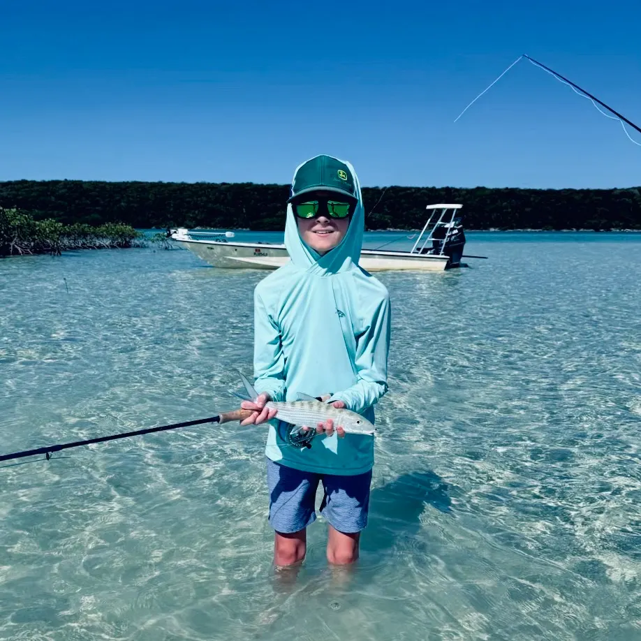 The most recent West Atlantic bonefish catches on Fishbrain