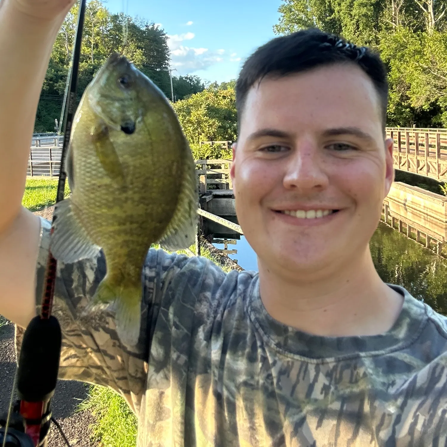 Bluegill caught on Fishbrain
