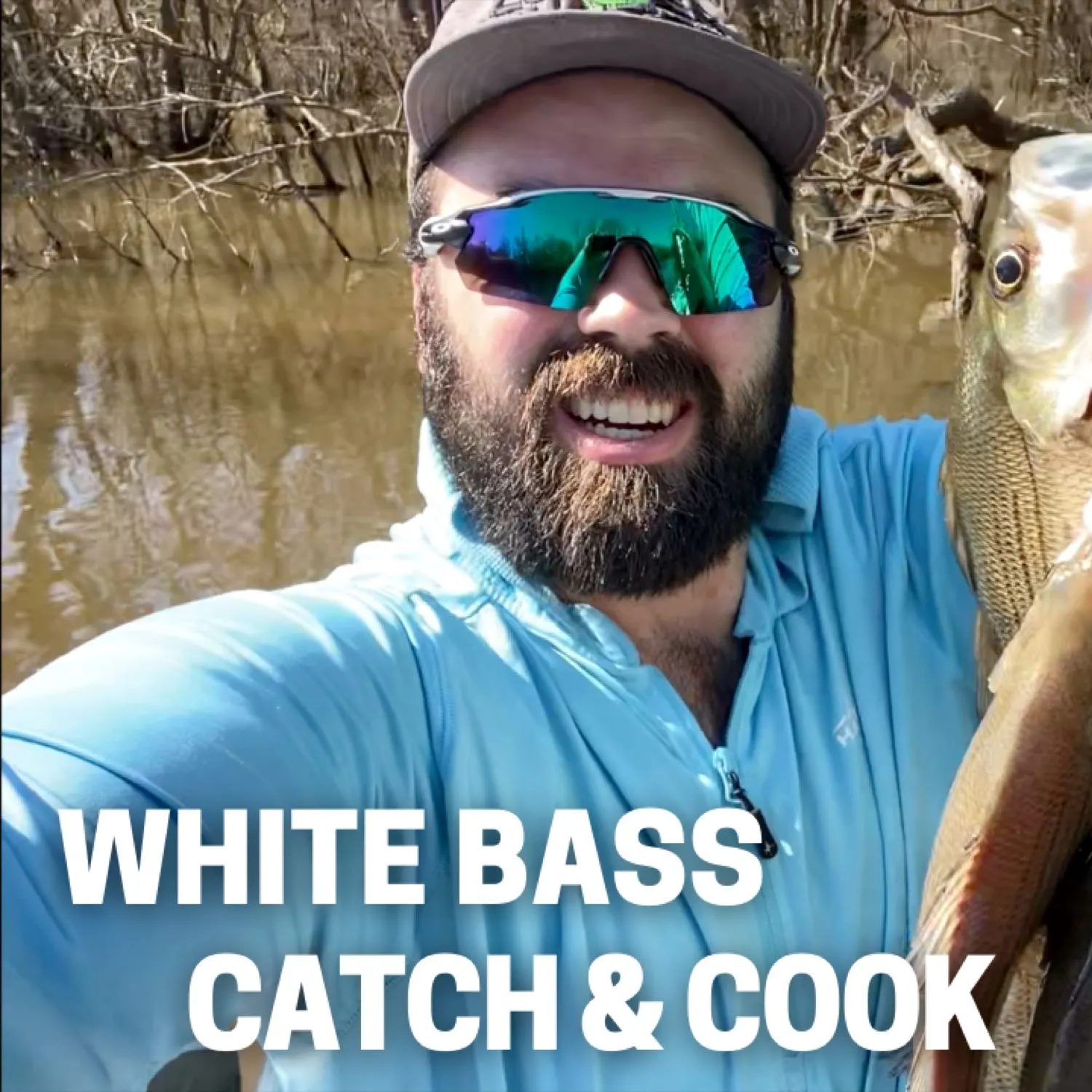White bass caught on Fishbrain