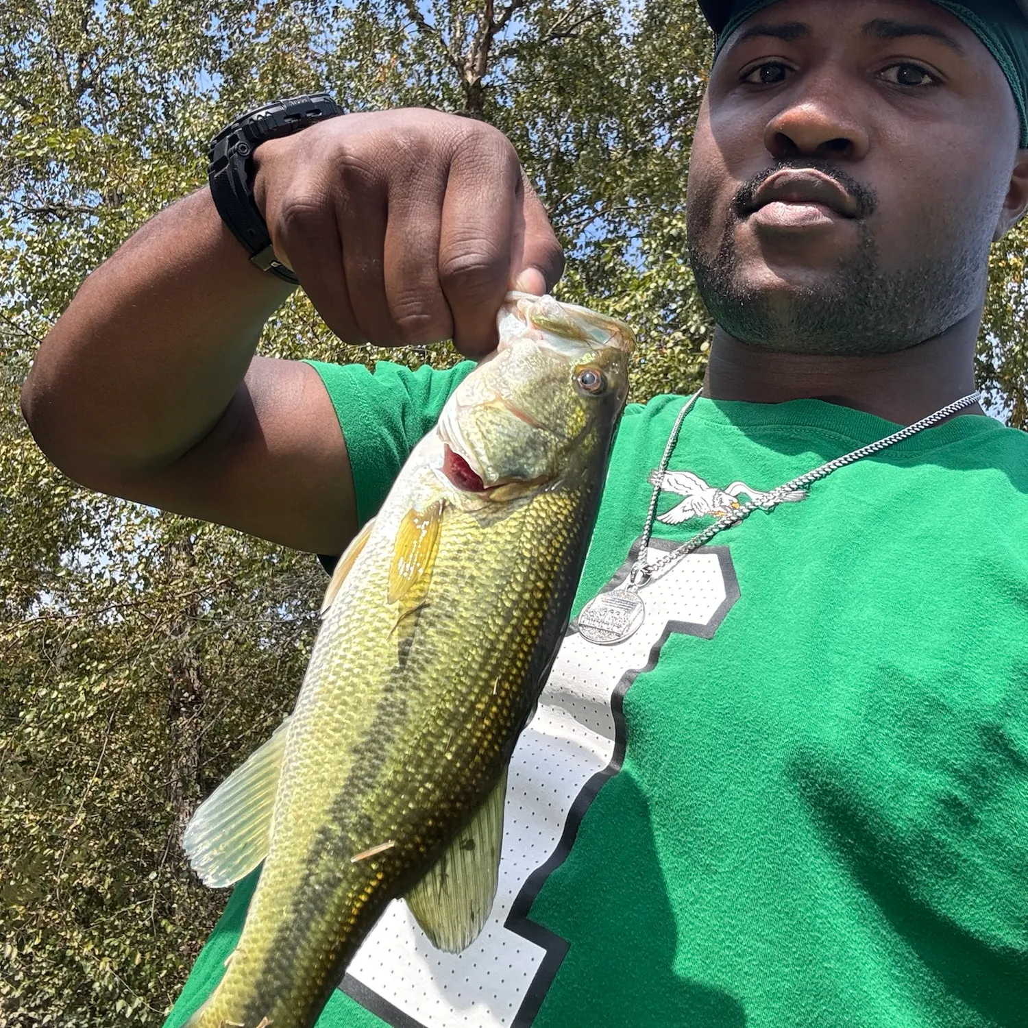 Largemouth bass caught on Fishbrain