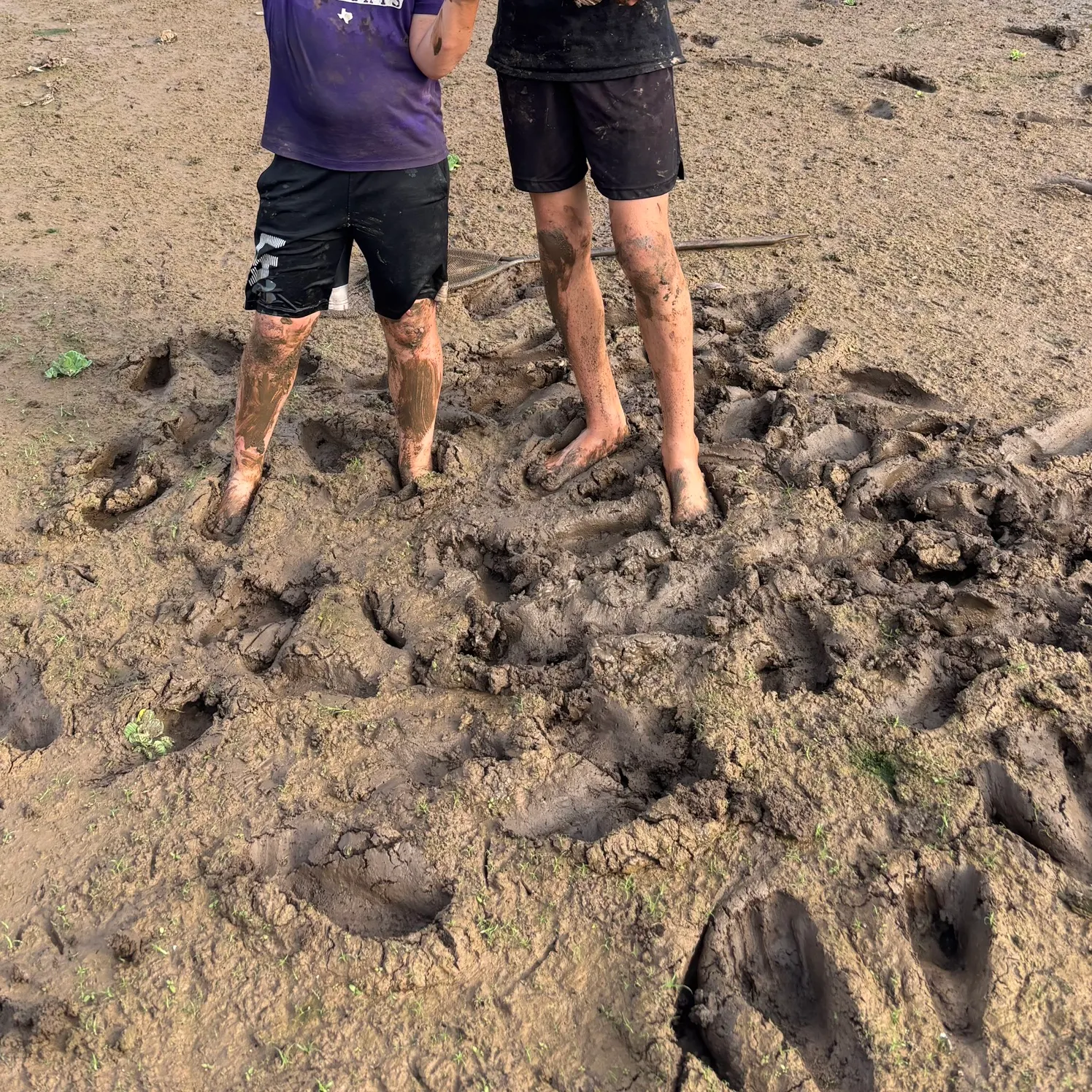 The most recent Alligator gar catches on Fishbrain