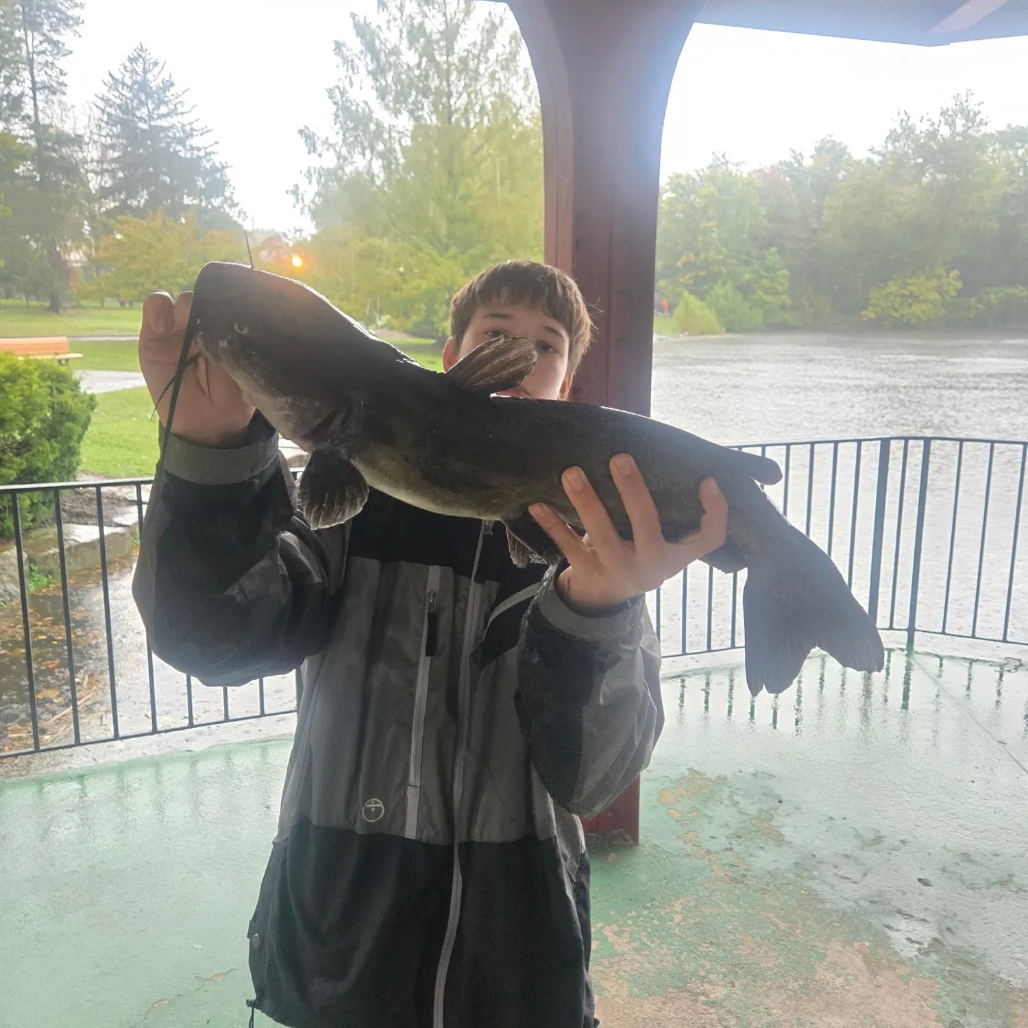 Channel catfish caught on Fishbrain