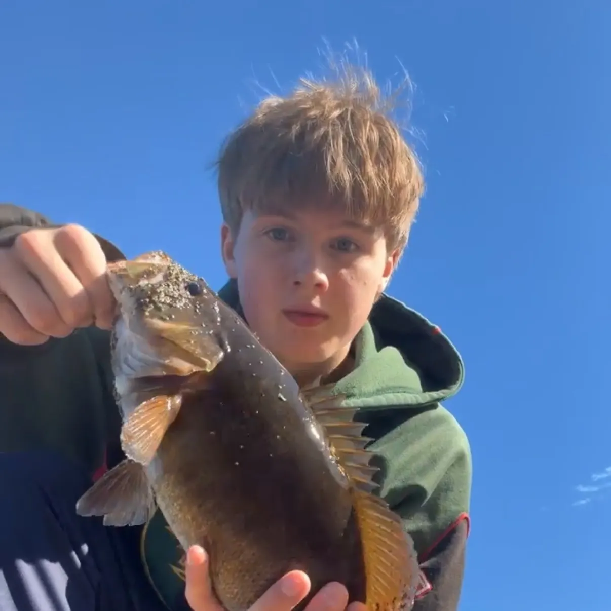 Smallmouth bass caught on Fishbrain