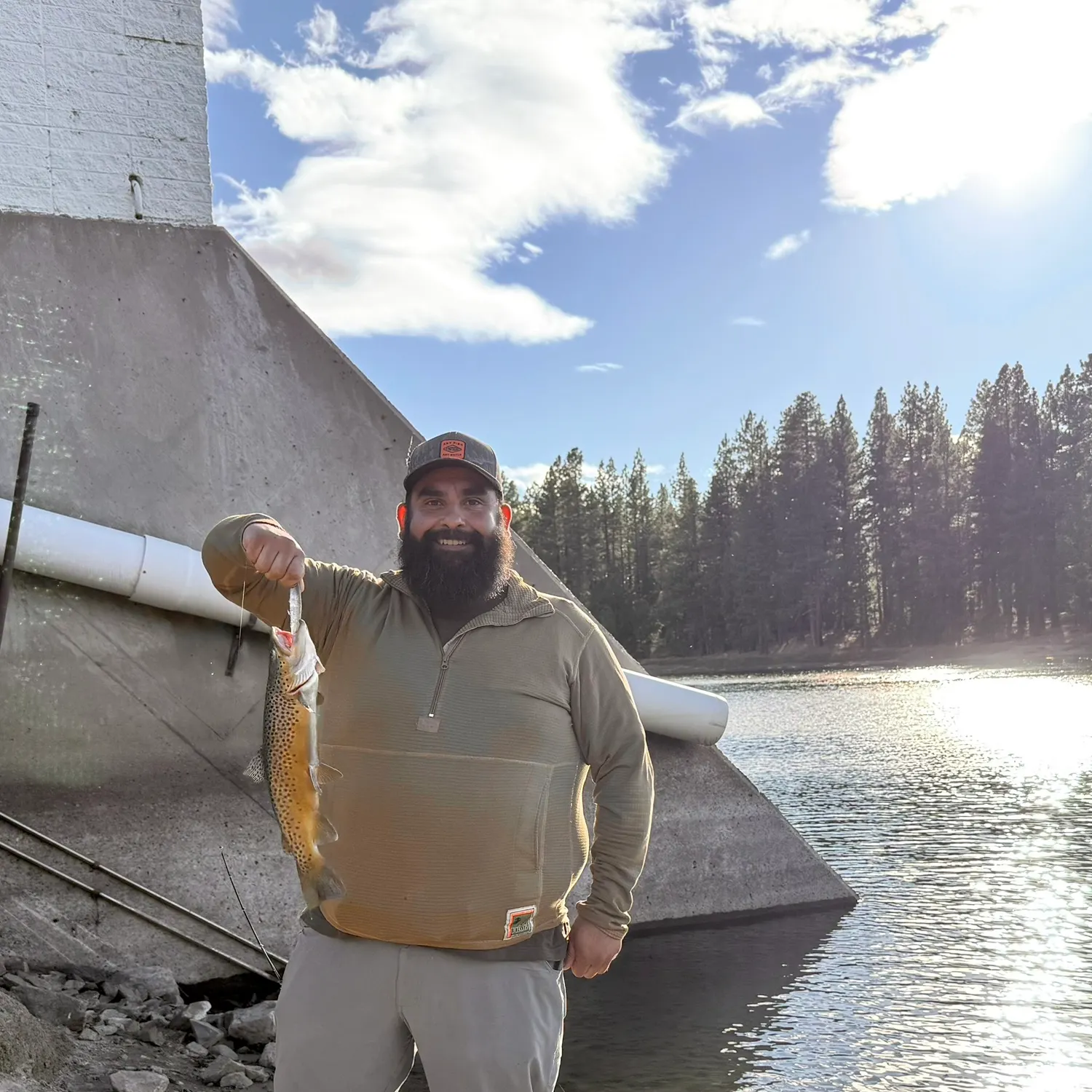Brown trout caught on Fishbrain