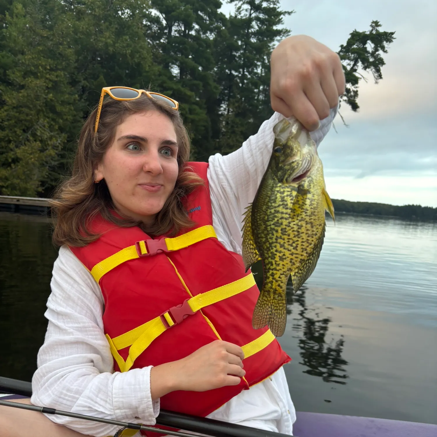 Black crappie caught on Fishbrain