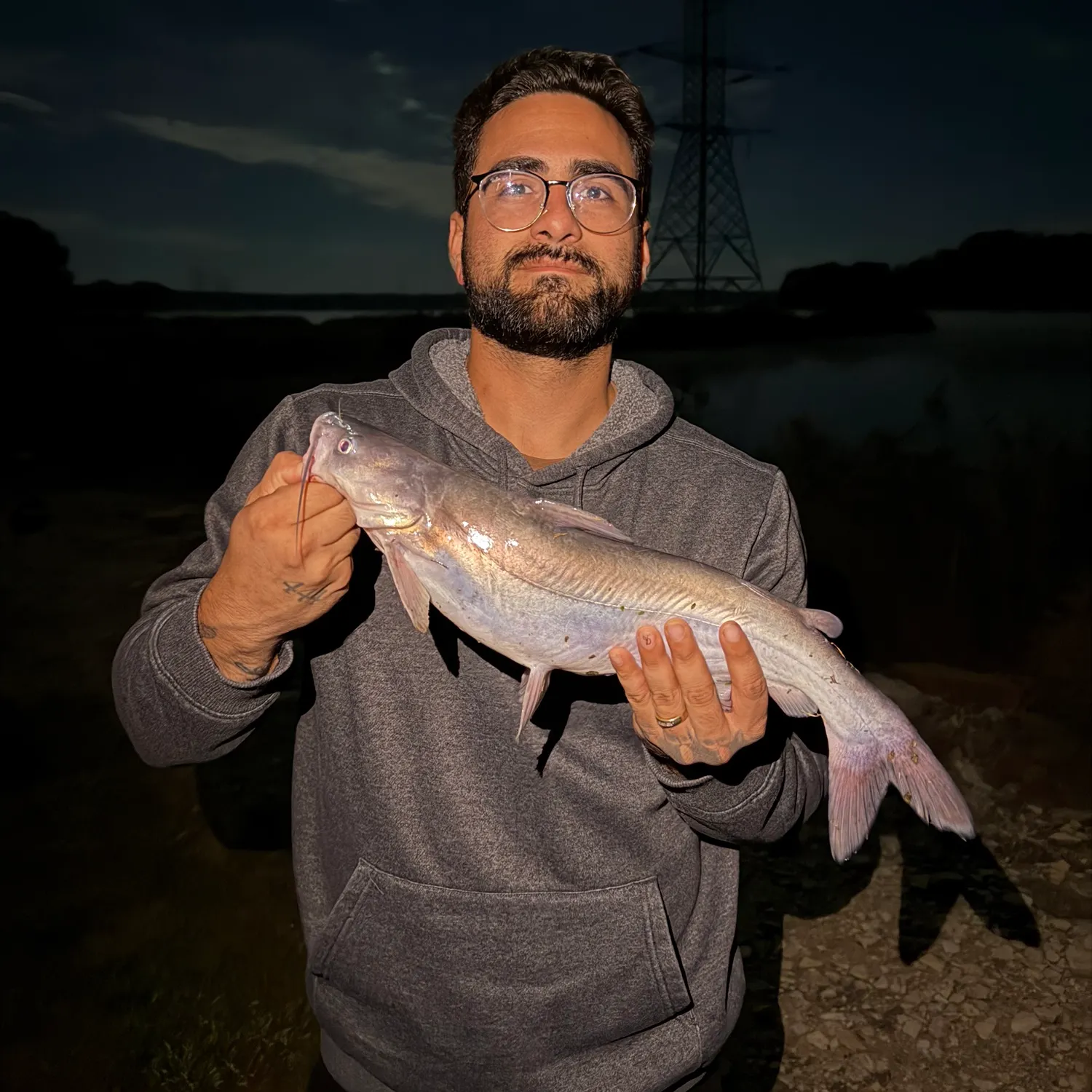 Blue catfish caught on Fishbrain