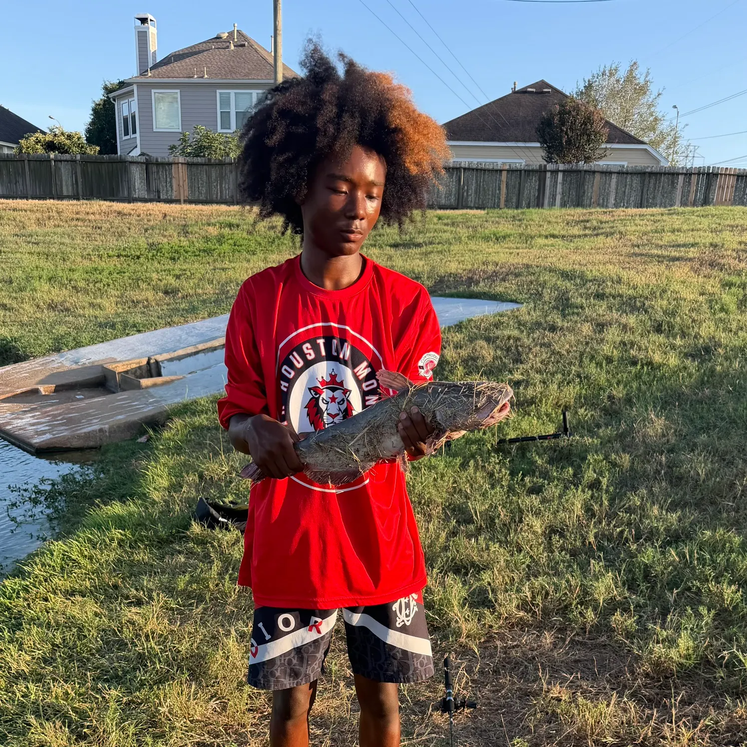 Channel catfish caught on Fishbrain